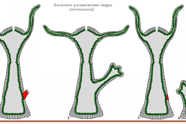 Как пополнить кошелек на кракене даркнет