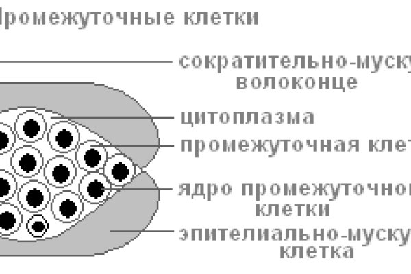 Кракен наркошоп ссылка